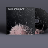 Alien Orchestra - Is Anybody Out There
