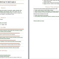 Resume 8