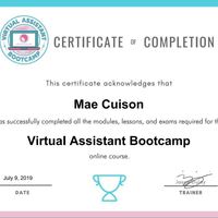 VA Bootcamp Course Certificate