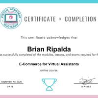 E-commerce VA