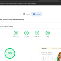 WP(Speed optimization)