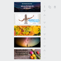Social Media Management