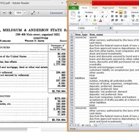 PDF to Excel Data Entry ~ Banking Projects