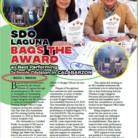article written for a journal