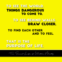 Portfolio Thumbnail 36