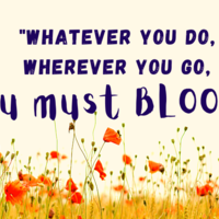 Bloom
