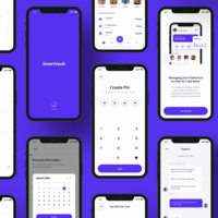 Smartvault a fintech app