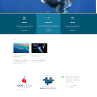 Portfolio Thumbnail 3