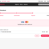 Checkout process 3
