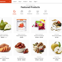 Portfolio Thumbnail 4