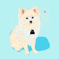 Pet illustration