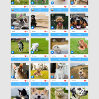 Pet League