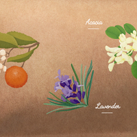 Portfolio Thumbnail 2