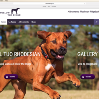 Portfolio Thumbnail 4