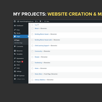Wordpress Operations Access