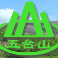 Company logo design and brand application