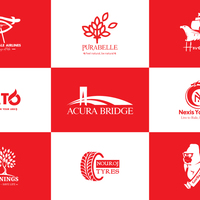 Portfolio Thumbnail 5