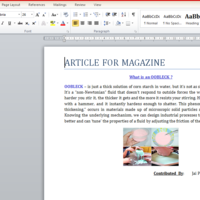 MS Word Sample2
