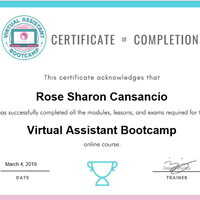 Virtual Assistant Bootcamp/Online Course