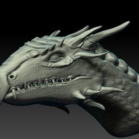 Portfolio Thumbnail 10