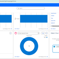 Opportunities, records, deals