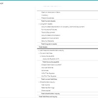 Balance Sheet