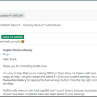Sample customer service job