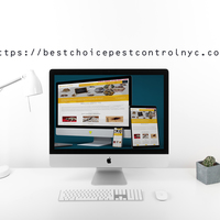 Portfolio Thumbnail 0