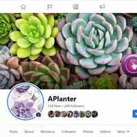 Social Media Management