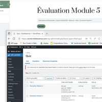 WordPress LMS LearnDash Data Entry