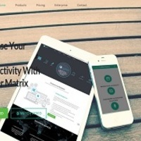 CaliberMatrix Project