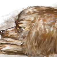 Digital Paint