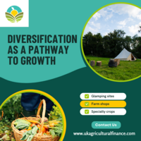 Portfolio Thumbnail 5