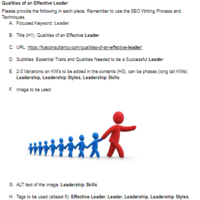 SEO Writing 3  (FVA Consultancy)