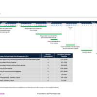 Sample timeline
