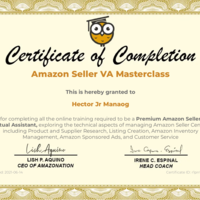 Amazon Seller Virtual Assistant Masterclass