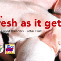 PRSFC Facebook Campaign