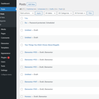 WordPress Management