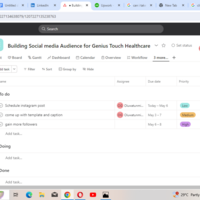 Building Social Media Audience for Genius Touch Healthcare