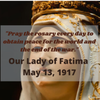 Portfolio Thumbnail 13