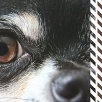 Portfolio Thumbnail 34