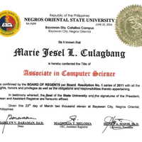 School Certificate