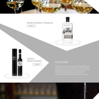 Arpad painka web design 2