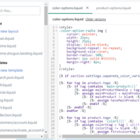 Shopify theme customization