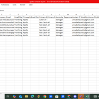 Customer Lead Extraction - Excel