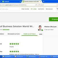 SEO Director