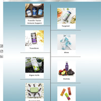 Website design draft