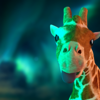 Portfolio Thumbnail 12