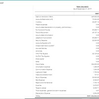 Trial Balance
