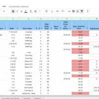 Store Demo Analysis Sheet